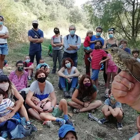 Camping Armalygal 3*