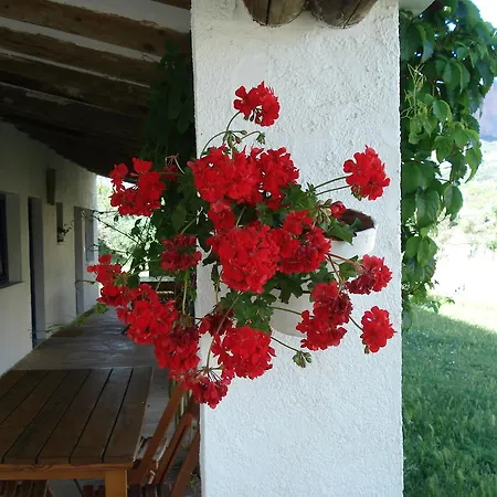 Campeggio Armalygal 3*