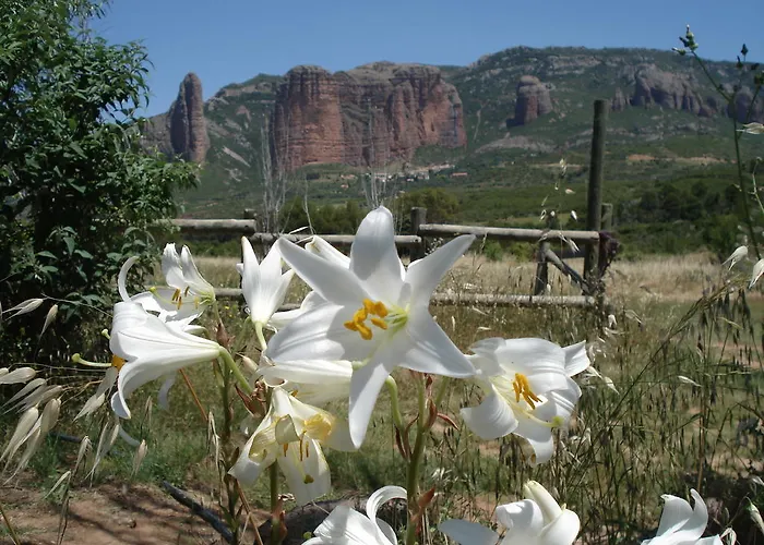 Camping Armalygal Murillo de Gállego
